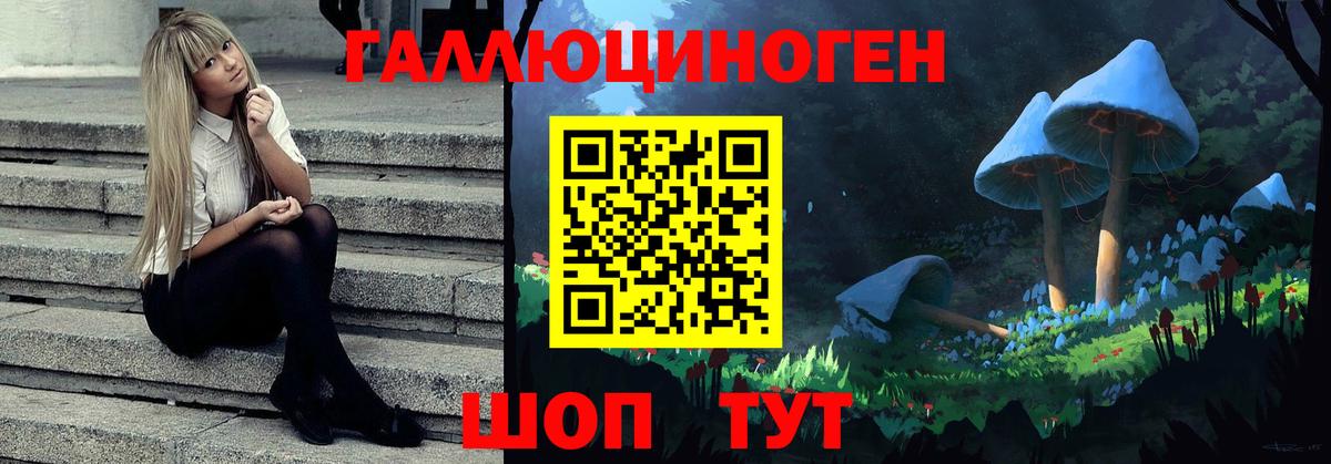 Псилоцибиновые грибы Cubensis Волжск